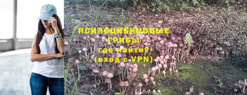 даркнет сайт  Дагестанские Огни  Псилоцибиновые грибы MAGIC MUSHROOMS 